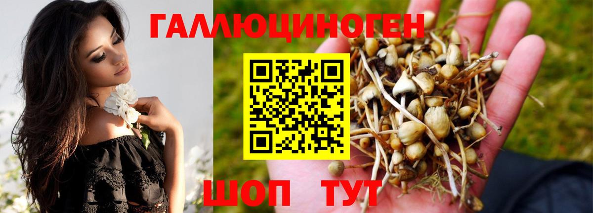 Псилоцибиновые грибы Cubensis Белая Калитва